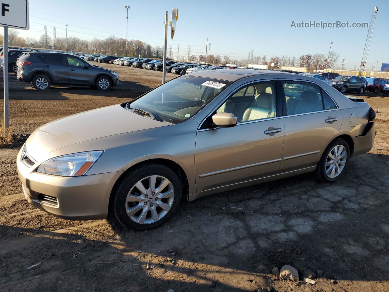 2007 Honda Accord Ex Tan vin: 1HGCM66557A062569