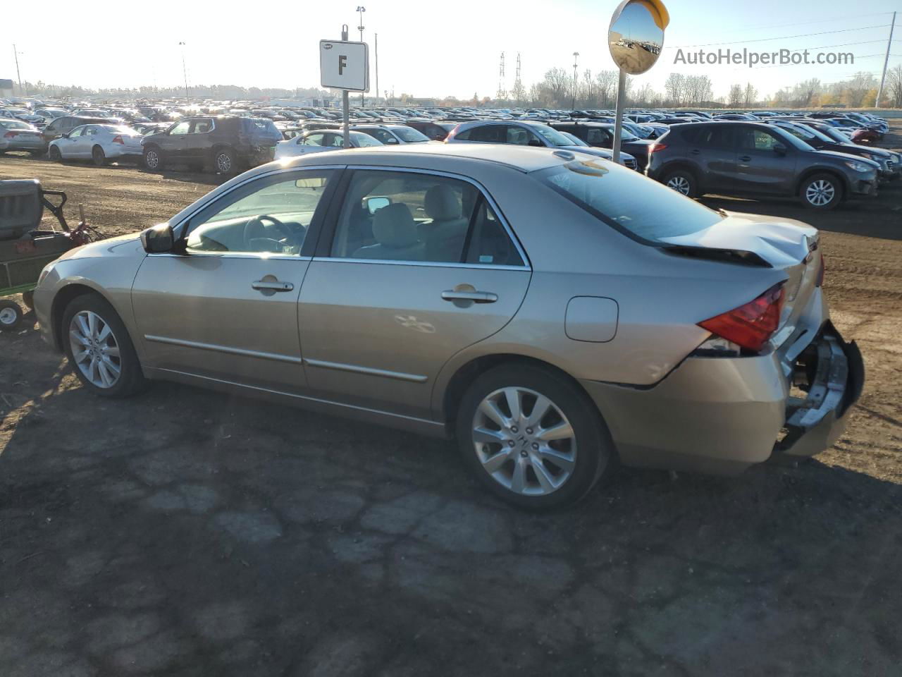 2007 Honda Accord Ex Tan vin: 1HGCM66557A062569