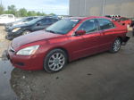 2007 Honda Accord Ex Красный vin: 1HGCM66567A002784