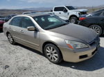 2007 Honda Accord Ex Желто-коричневый vin: 1HGCM66567A011565