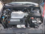 2005 Honda Accord Sdn Ex-l V6 Gray vin: 1HGCM66575A037458