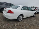 2007 Honda Accord Ex White vin: 1HGCM66577A029198