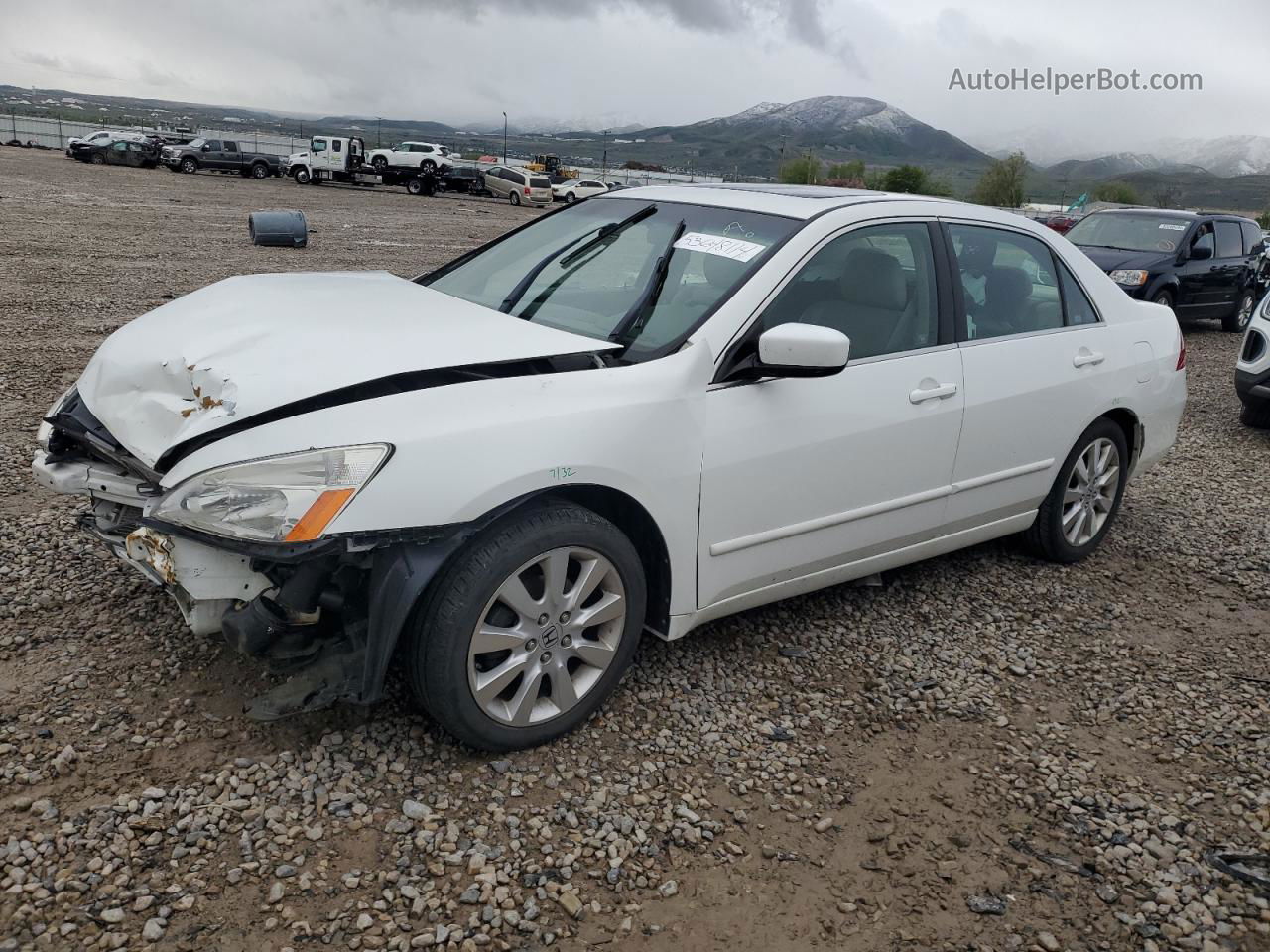 2007 Honda Accord Ex White vin: 1HGCM66577A029198