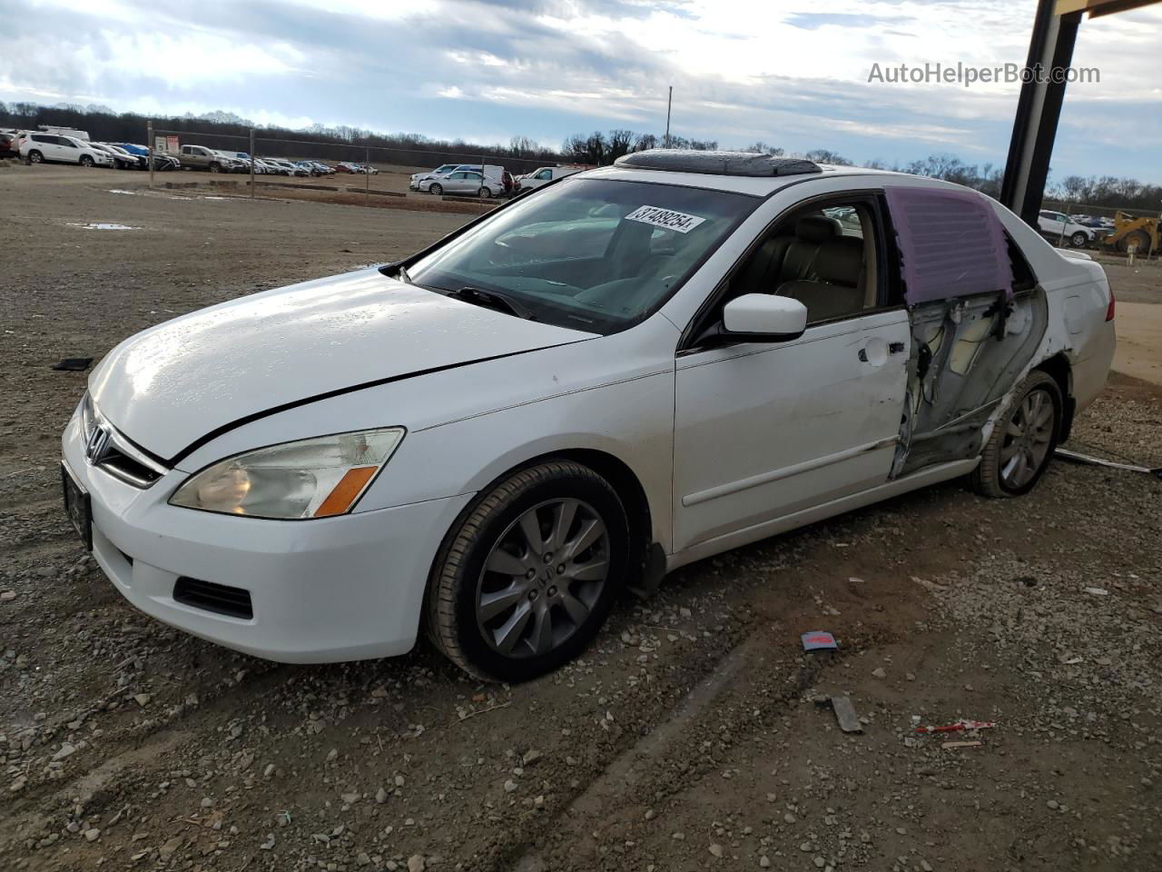 2007 Honda Accord Ex Белый vin: 1HGCM66587A073033