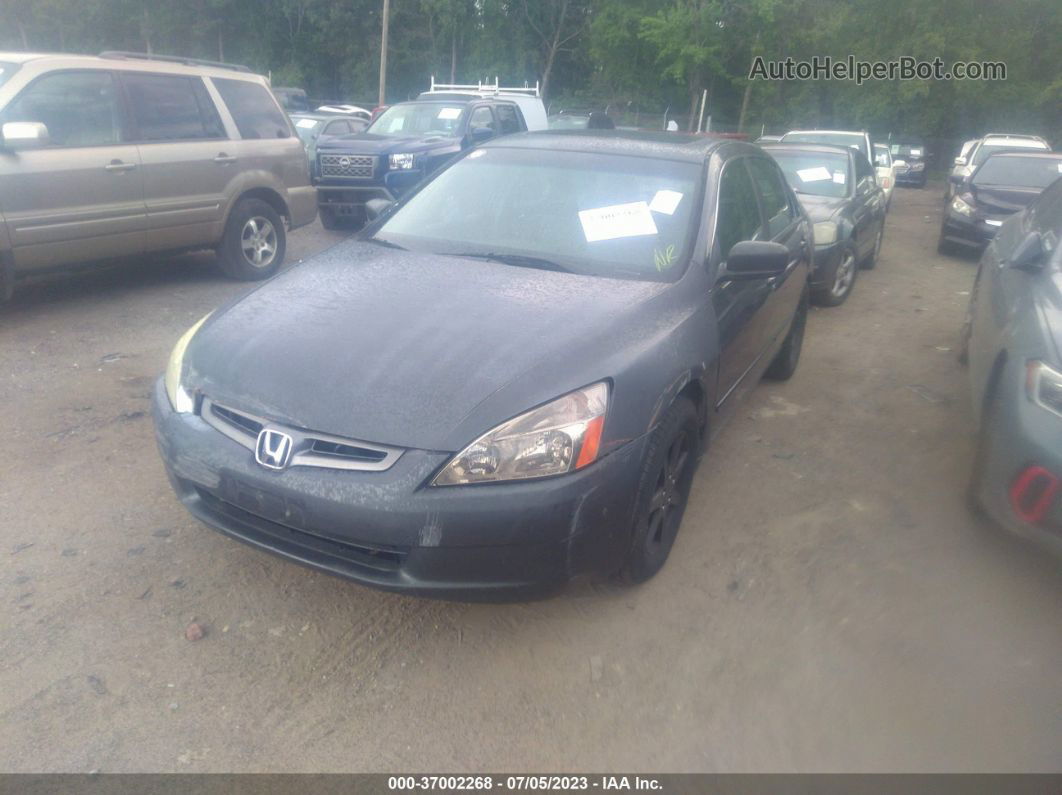 2003 Honda Accord Sdn Ex Gray vin: 1HGCM66593A046868