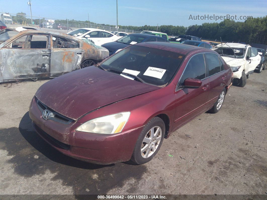 2005 Honda Accord Sdn Ex-l V6 Красный vin: 1HGCM66595A019611