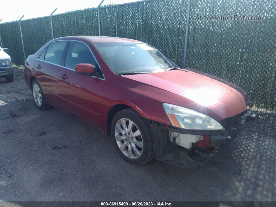 2007 Honda Accord 3.0 Ex Maroon vin: 1HGCM66597A015223