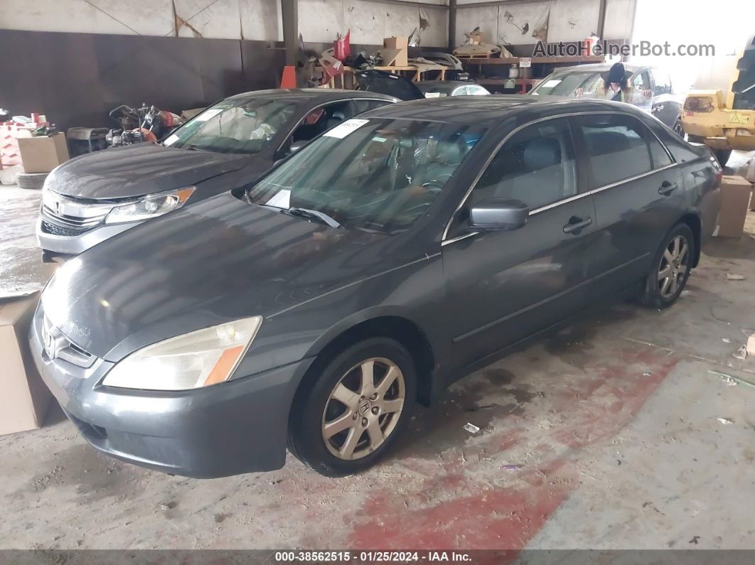 2005 Honda Accord 3.0 Ex Gray vin: 1HGCM665X5A061446