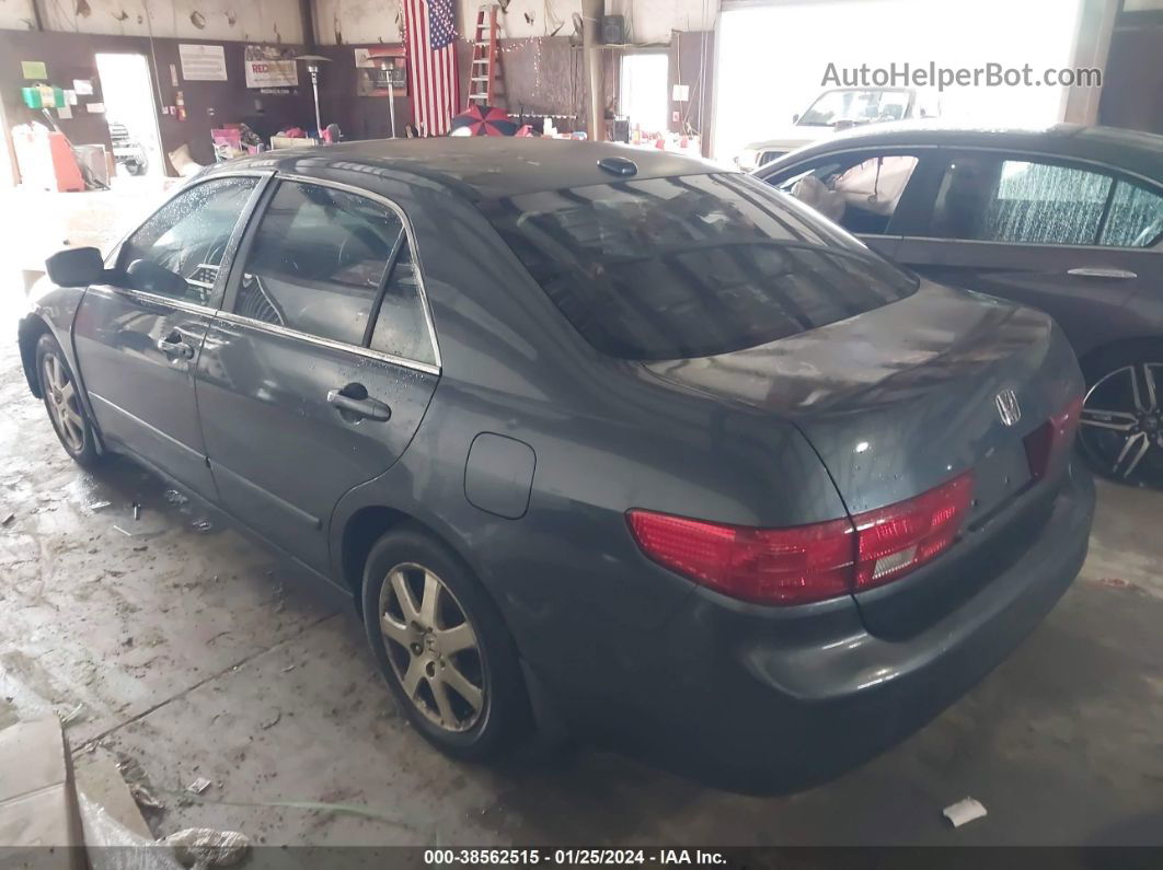 2005 Honda Accord 3.0 Ex Gray vin: 1HGCM665X5A061446