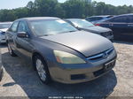 2007 Honda Accord 3.0 Ex Gray vin: 1HGCM66857A011809