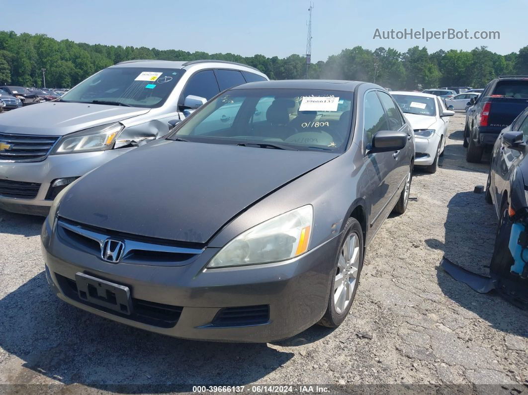 2007 Honda Accord 3.0 Ex Gray vin: 1HGCM66857A011809