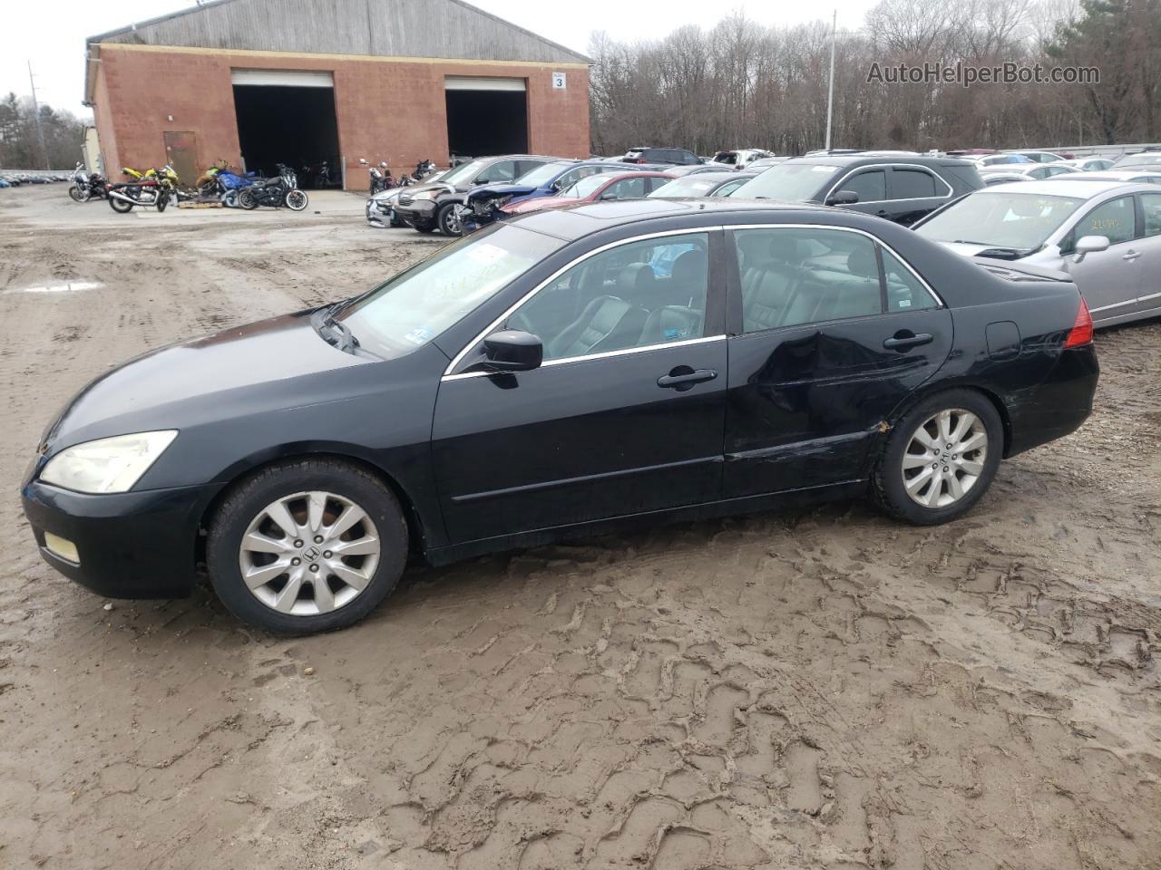 2007 Honda Accord Ex Black vin: 1HGCM66857A024379