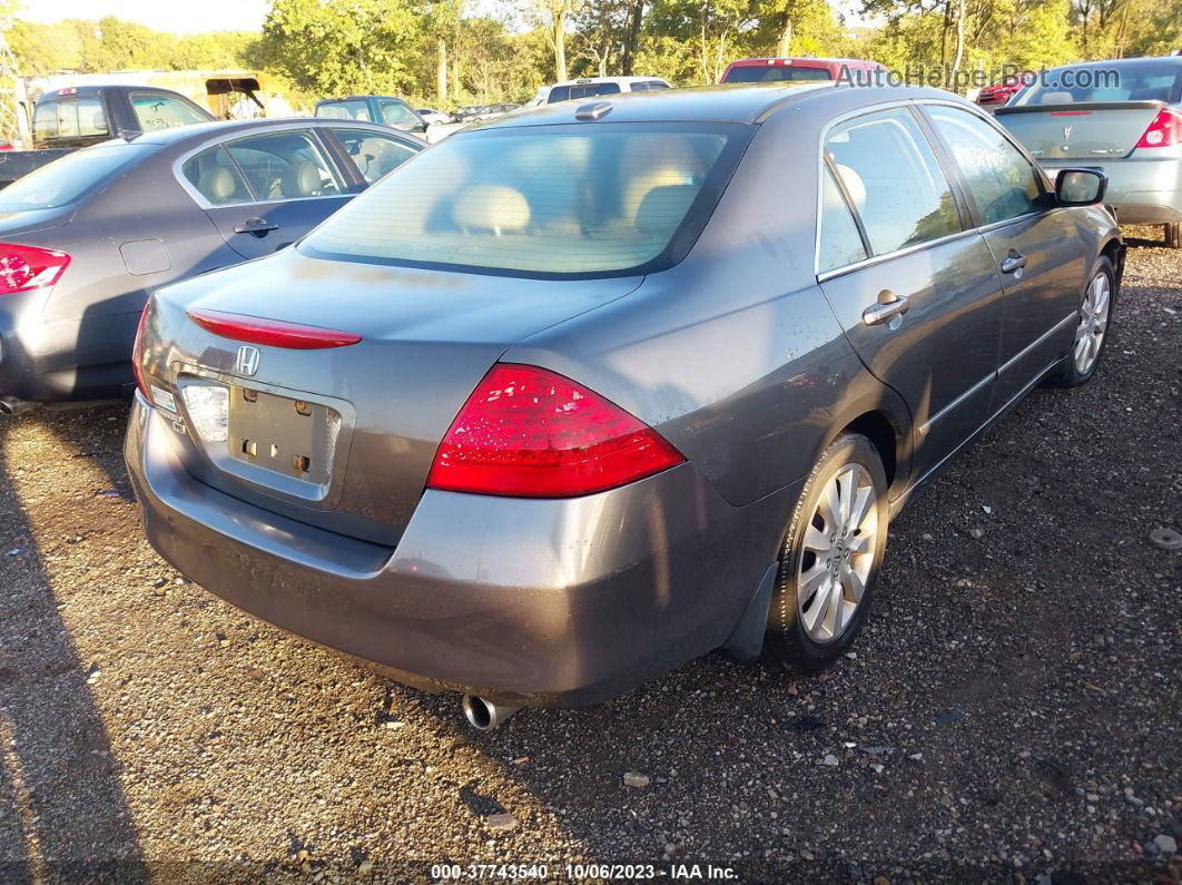 2007 Honda Accord 3.0 Ex Gray vin: 1HGCM66867A017523