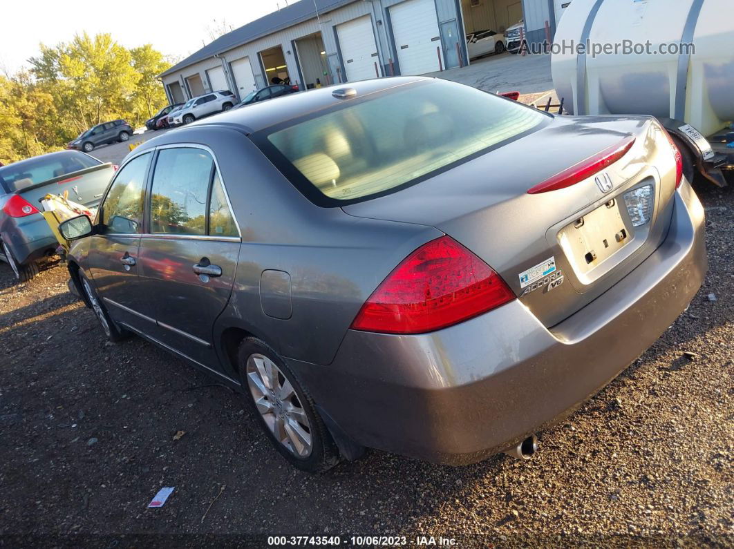 2007 Honda Accord 3.0 Ex Gray vin: 1HGCM66867A017523