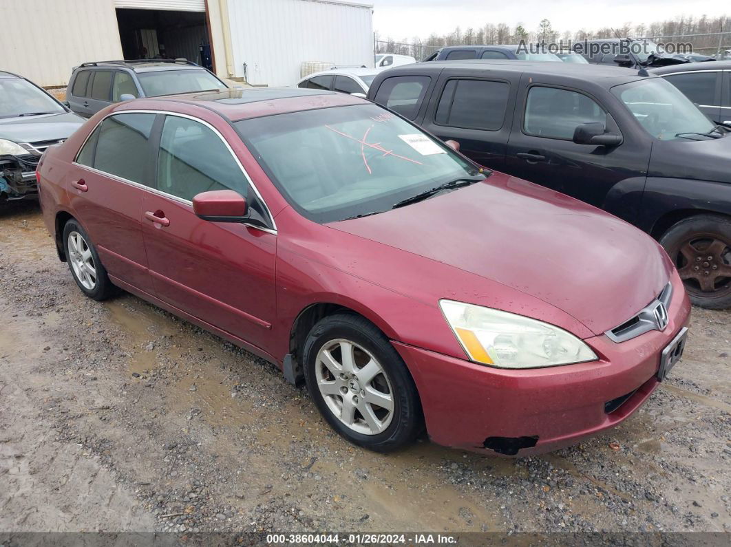 2005 Honda Accord 3.0 Ex Maroon vin: 1HGCM66875A077663