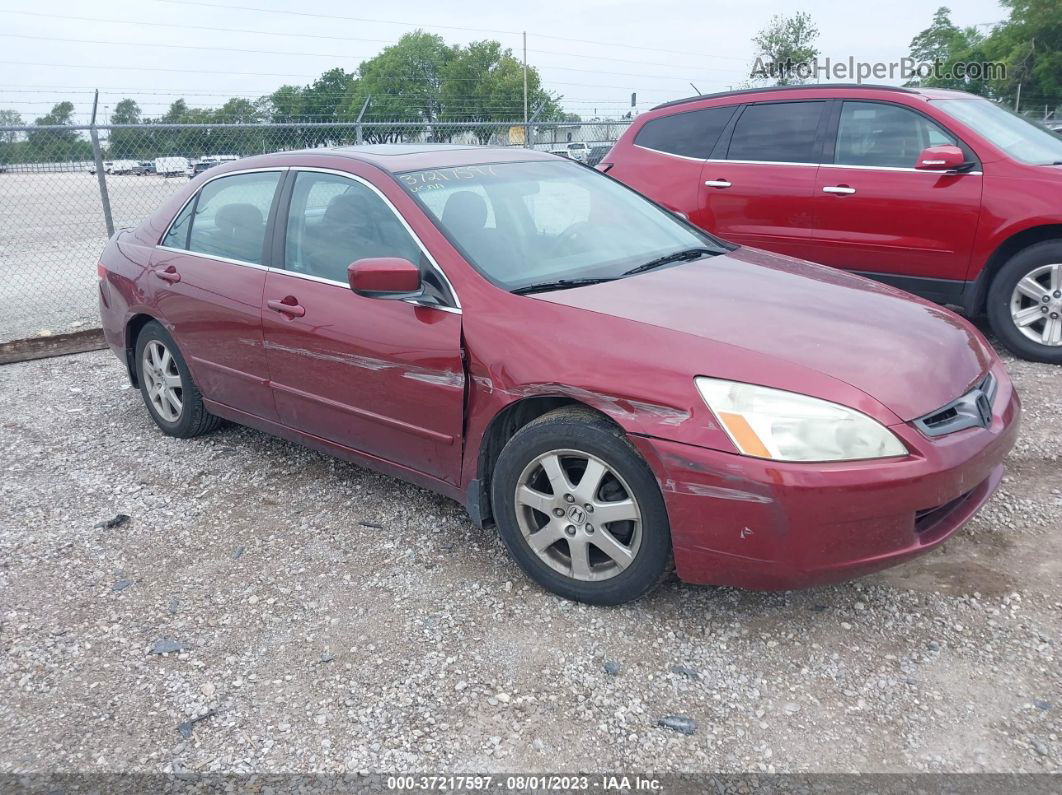 2005 Honda Accord Sdn Ex-l V6 With Navi Maroon vin: 1HGCM66895A021028