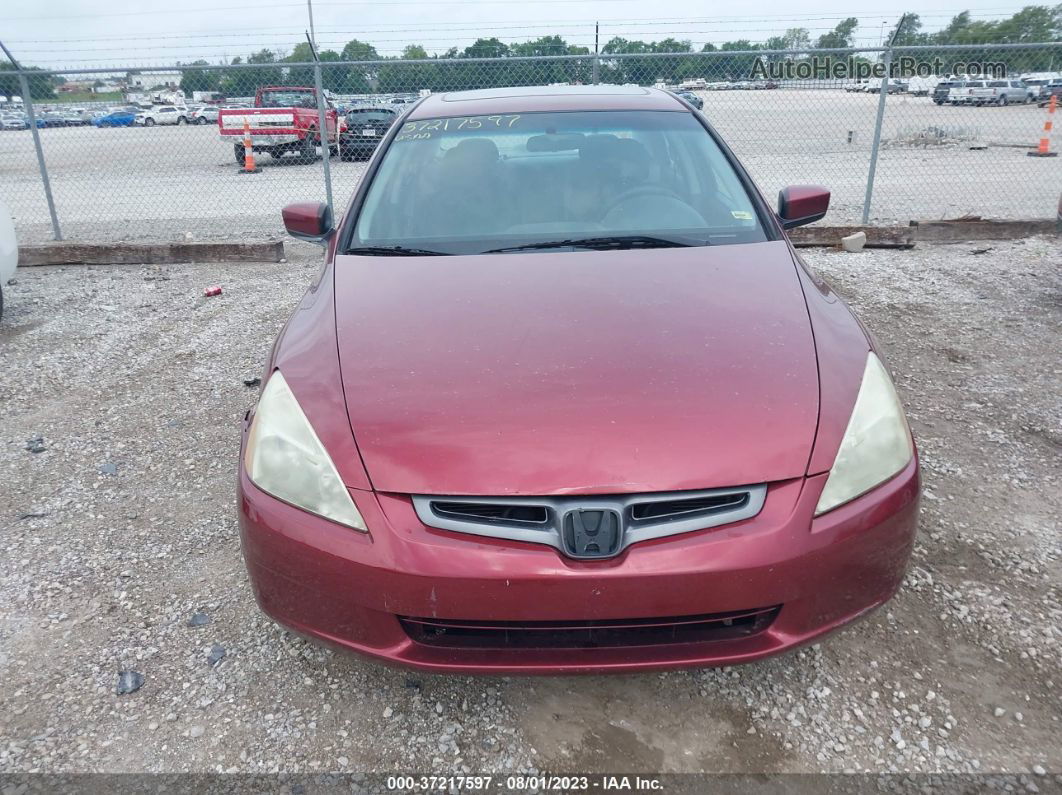 2005 Honda Accord Sdn Ex-l V6 With Navi Maroon vin: 1HGCM66895A021028