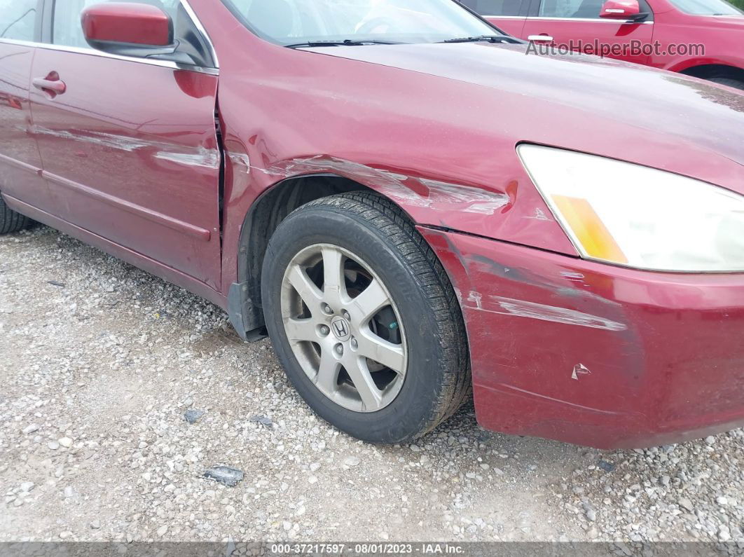 2005 Honda Accord Sdn Ex-l V6 With Navi Maroon vin: 1HGCM66895A021028