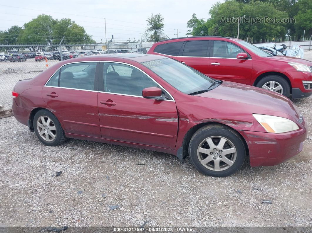 2005 Honda Accord Sdn Ex-l V6 With Navi Maroon vin: 1HGCM66895A021028