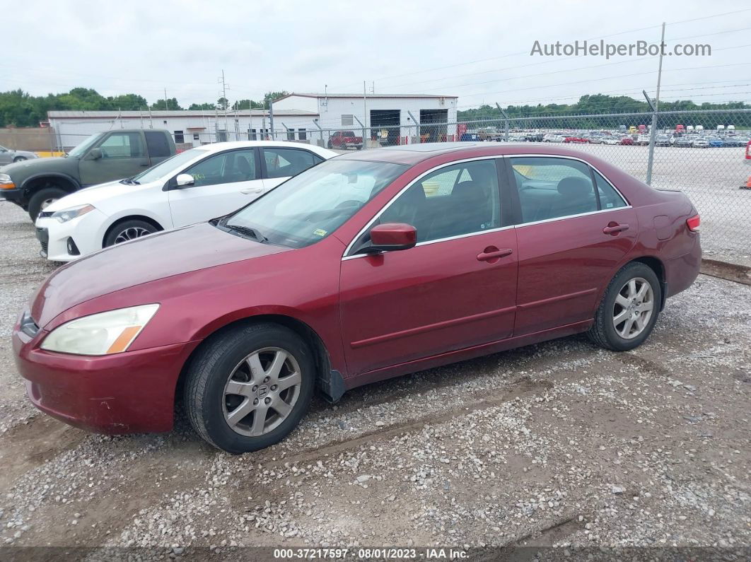 2005 Honda Accord Sdn Ex-l V6 With Navi Темно-бордовый vin: 1HGCM66895A021028