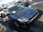 2007 Honda Accord Lx Gray vin: 1HGCM71317A014952