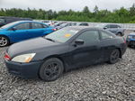 2007 Honda Accord Lx Black vin: 1HGCM72337A010061