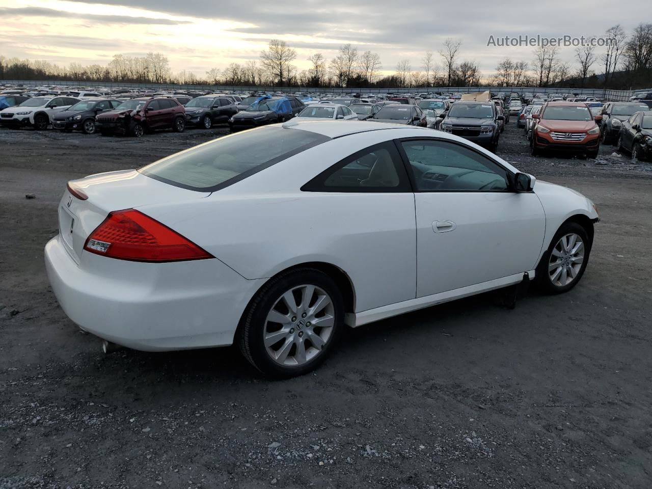 2007 Honda Accord Ex White vin: 1HGCM82607A006100