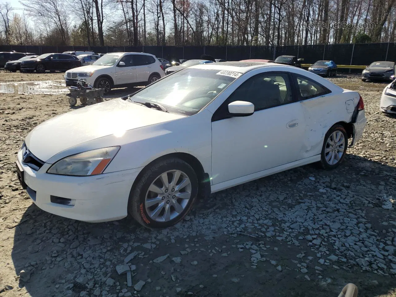 2007 Honda Accord Ex White vin: 1HGCM82677A003744