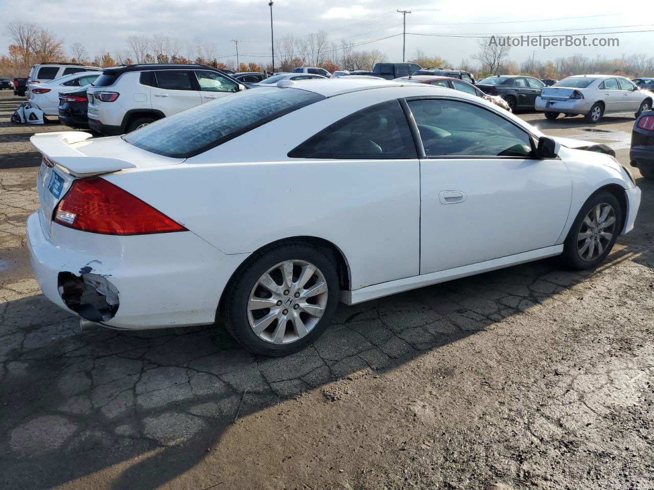 2007 Honda Accord Ex White vin: 1HGCM826X7A002975