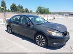 2009 Honda Accord 2.4 Lx Black vin: 1HGCP26309A170714