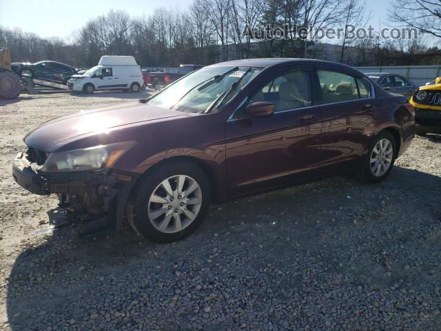 2009 Honda Accord Lx Burgundy vin: 1HGCP26319A197503