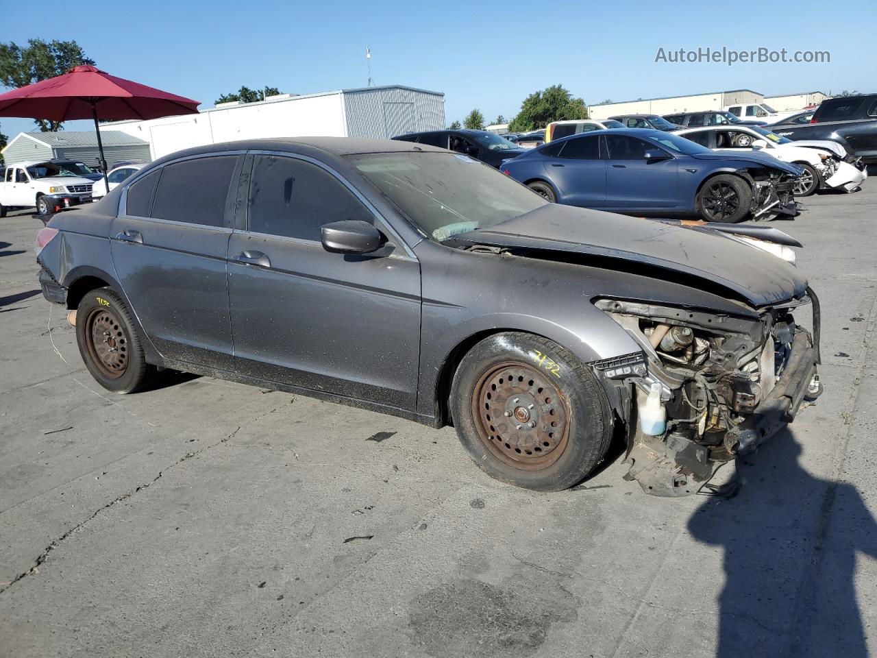 2009 Honda Accord Lx Серый vin: 1HGCP26329A164901