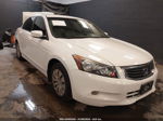 2009 Honda Accord 2.4 Lx White vin: 1HGCP26329A167992