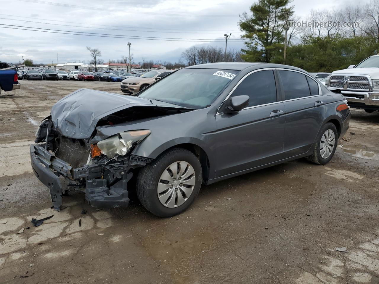 2009 Honda Accord Lx Серый vin: 1HGCP26339A128537