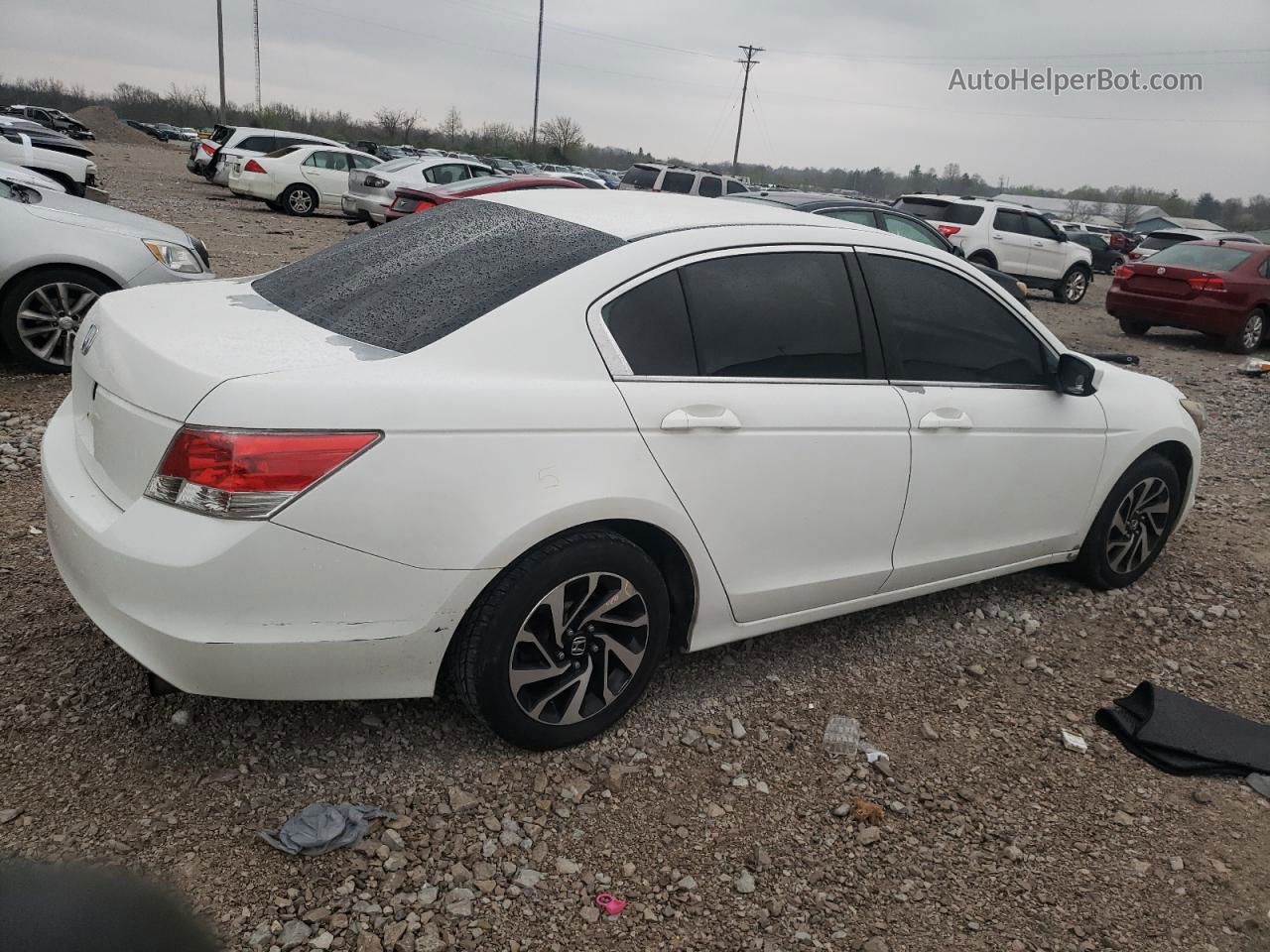 2009 Honda Accord Lx Белый vin: 1HGCP26339A197180