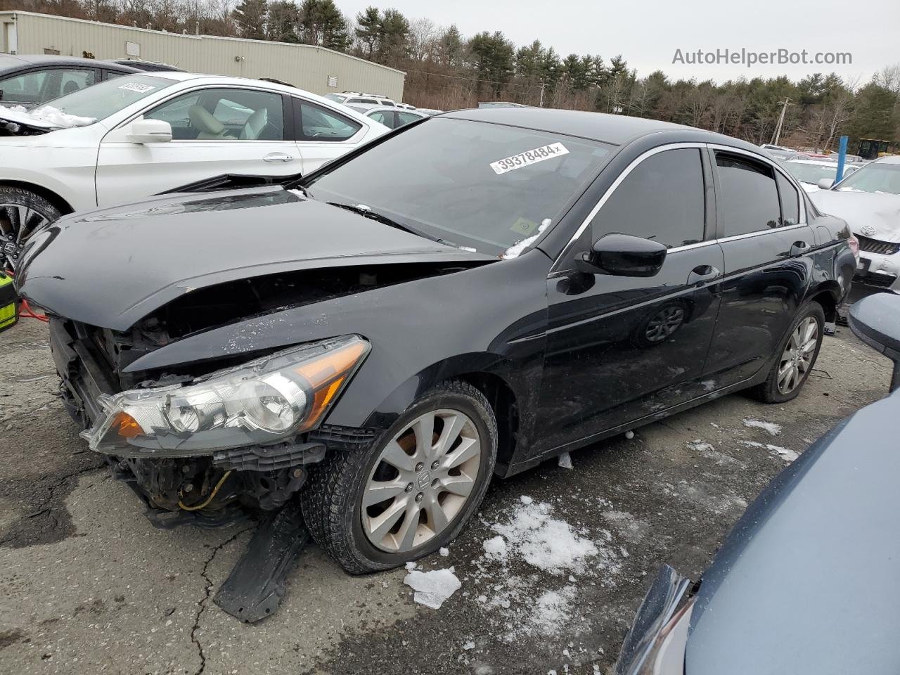 2009 Honda Accord Lx Black vin: 1HGCP26399A043881