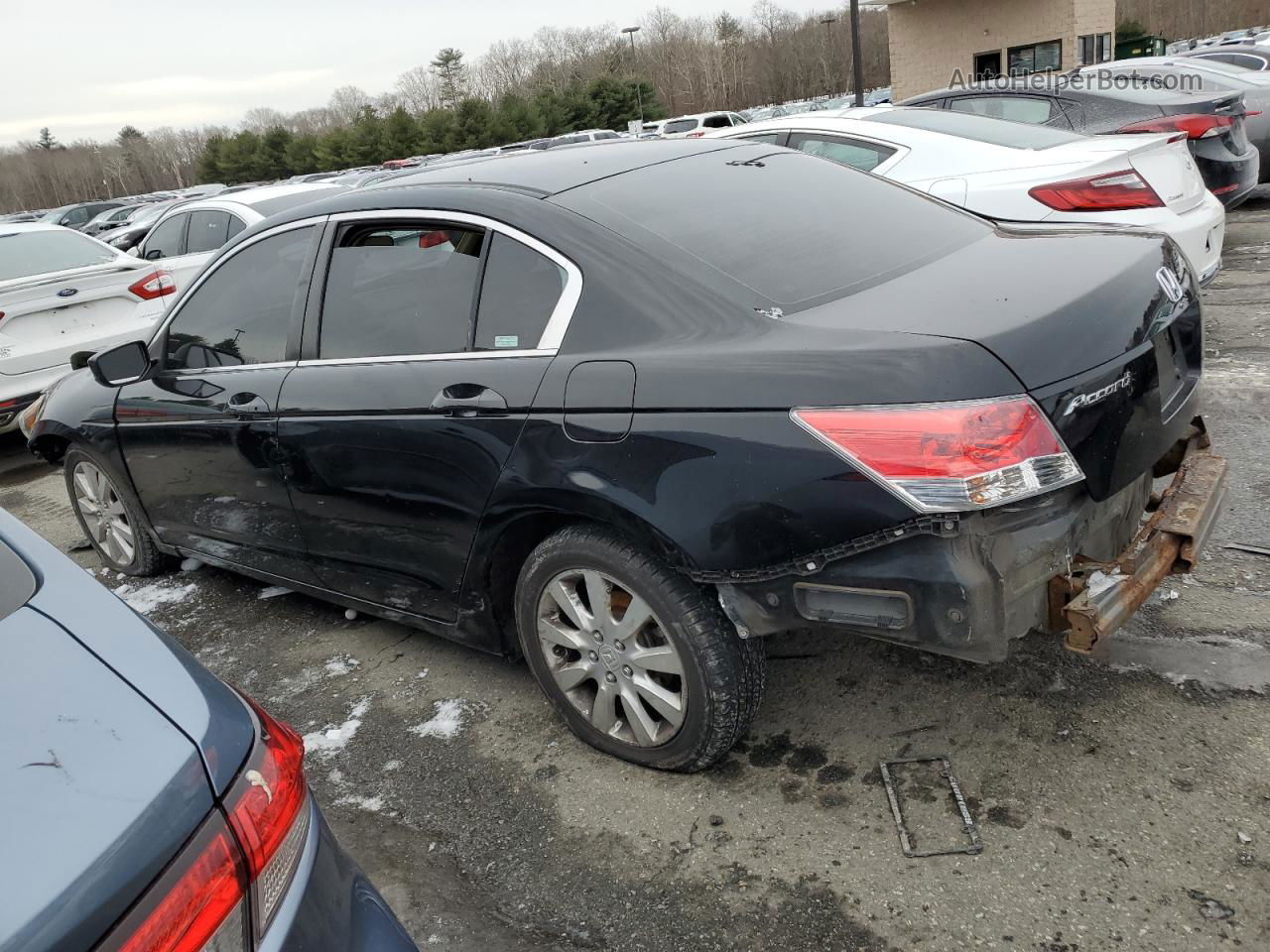 2009 Honda Accord Lx Black vin: 1HGCP26399A043881