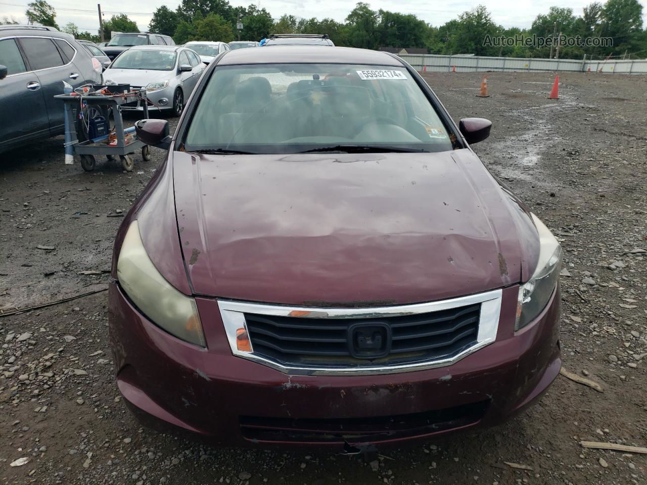 2009 Honda Accord Lx Maroon vin: 1HGCP263X9A019038