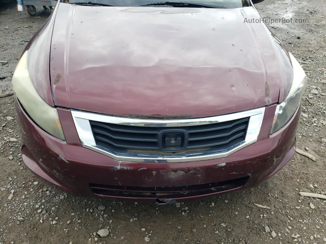 2009 Honda Accord Lx Maroon vin: 1HGCP263X9A019038