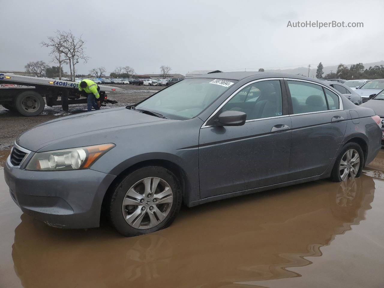 2009 Honda Accord Lxp Charcoal vin: 1HGCP26419A043012