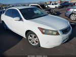 2008 Honda Accord Sdn Lx-p White vin: 1HGCP26428A073330