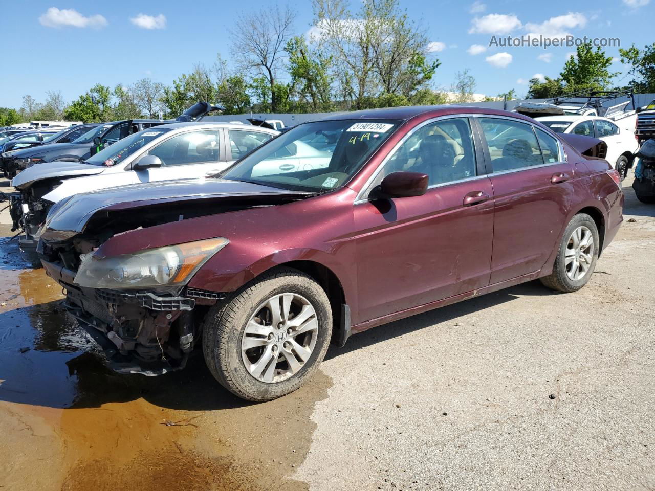 2009 Honda Accord Lxp Maroon vin: 1HGCP26429A189399