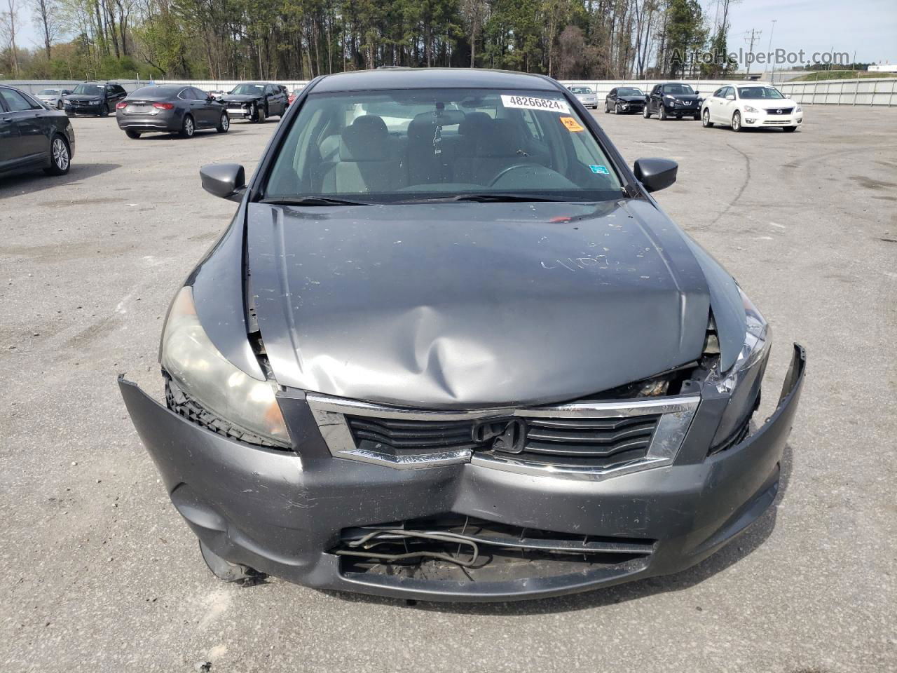 2009 Honda Accord Lxp Gray vin: 1HGCP26439A179383