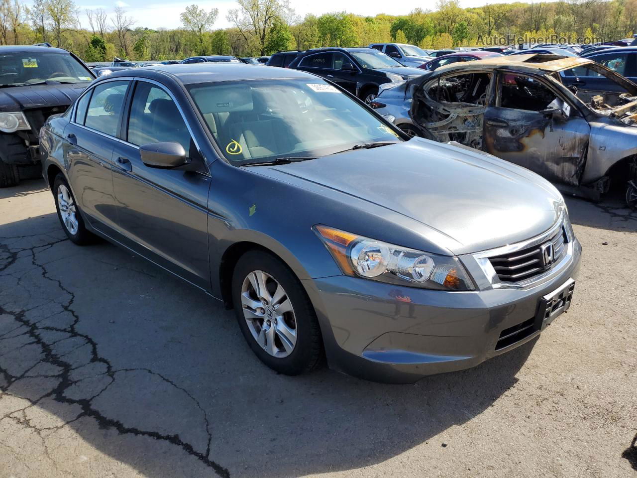 2009 Honda Accord Lxp Gray vin: 1HGCP26459A074019