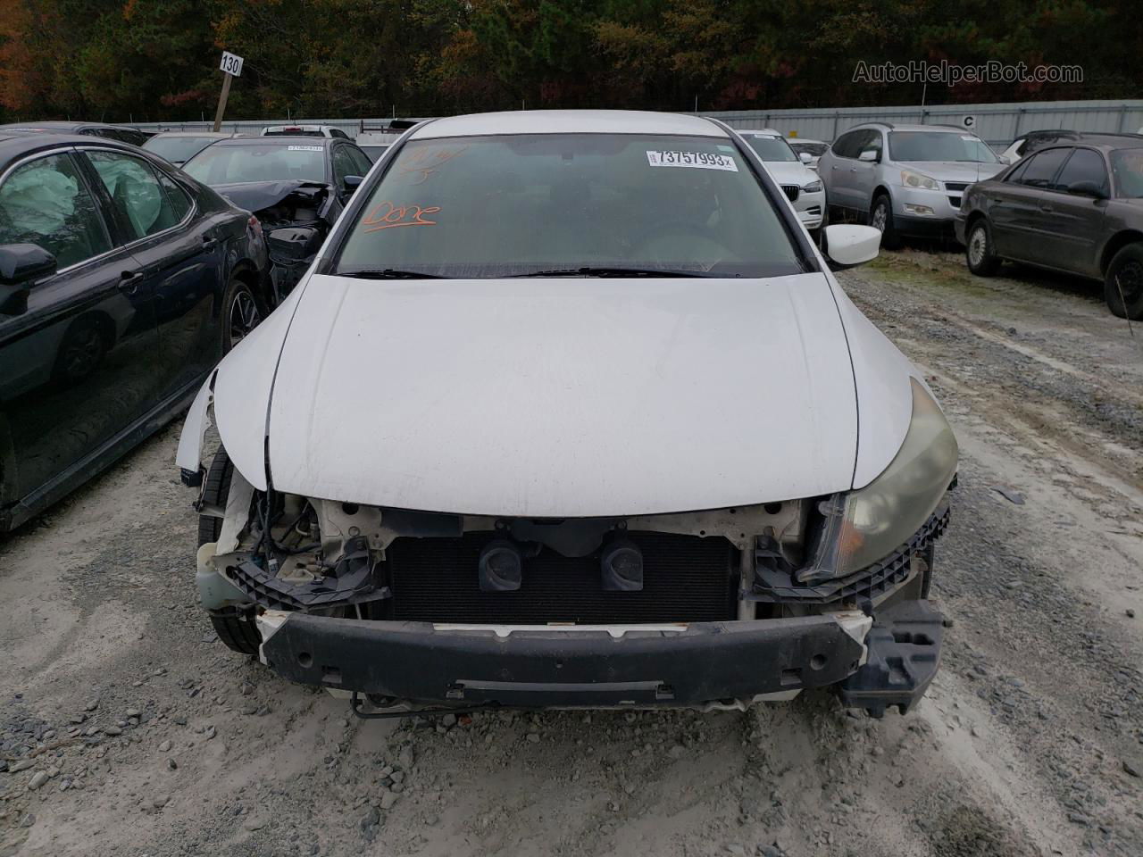 2009 Honda Accord Lxp White vin: 1HGCP26459A084565