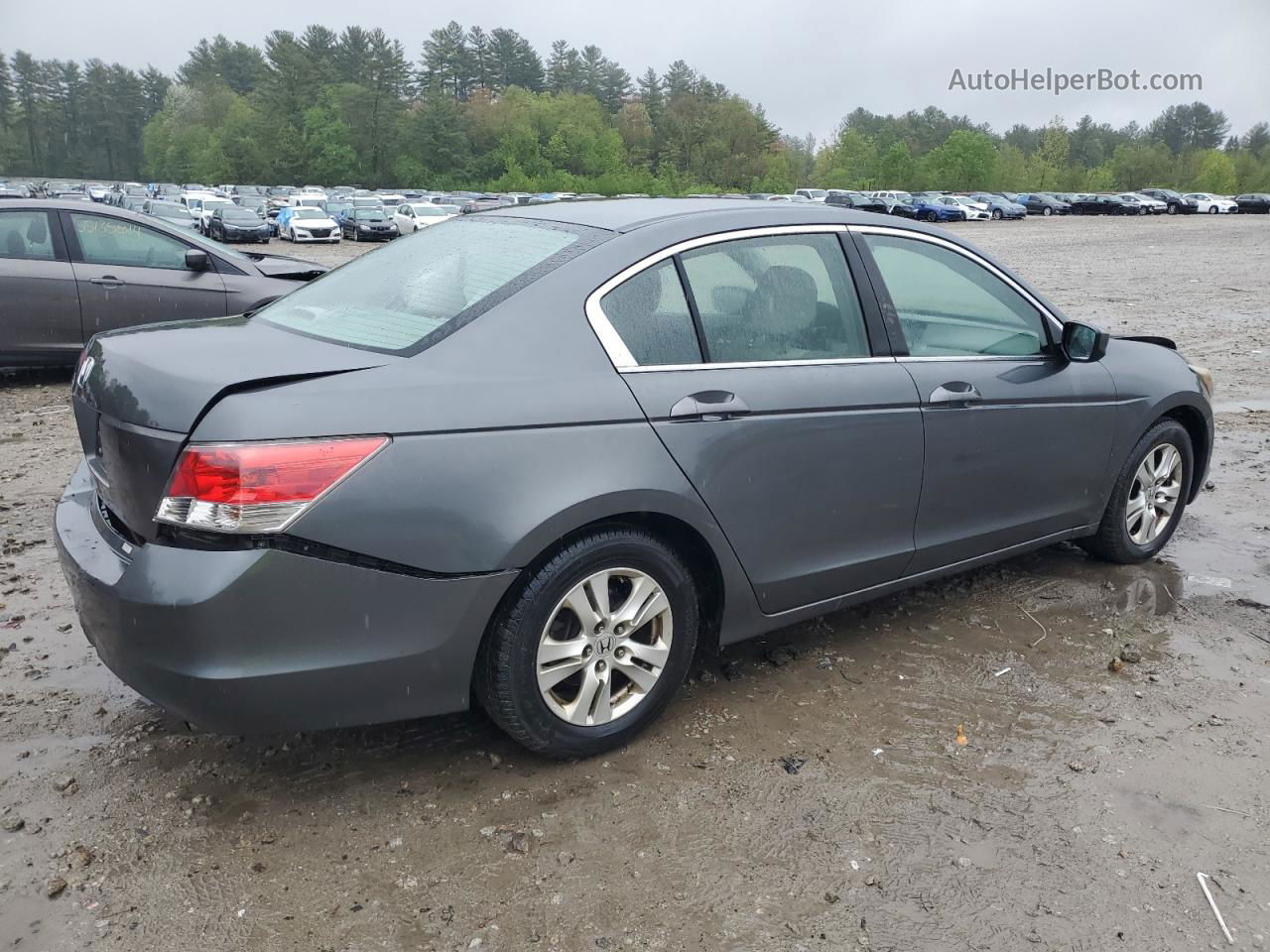 2009 Honda Accord Lxp Gray vin: 1HGCP26469A050537