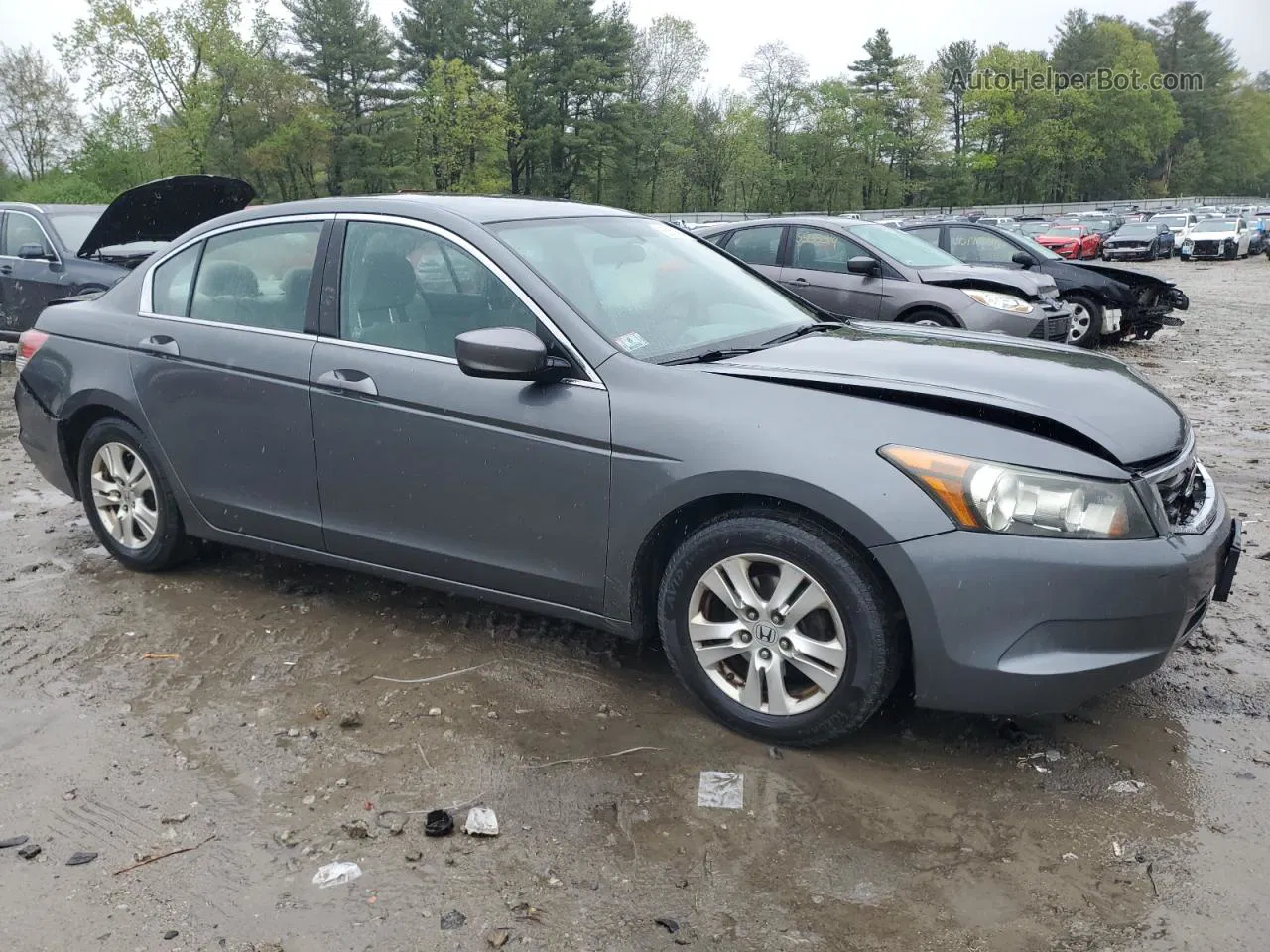 2009 Honda Accord Lxp Gray vin: 1HGCP26469A050537