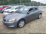 2008 Honda Accord 2.4 Lx-p Gray vin: 1HGCP26498A101463