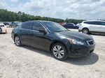 2009 Honda Accord Lxp Black vin: 1HGCP26499A199525