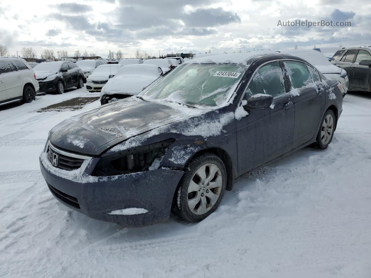 2009 Honda Accord Ex Синий vin: 1HGCP26729A800557